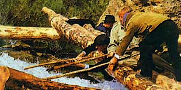 Cajón de sastre